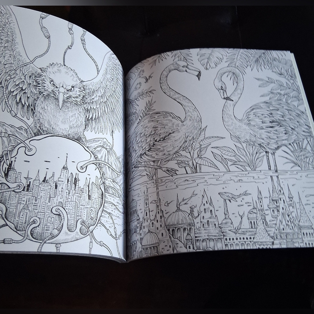 Intricate Coloring Book for Adults, with a Set Of Colored Pencils - Picture 6 of 8